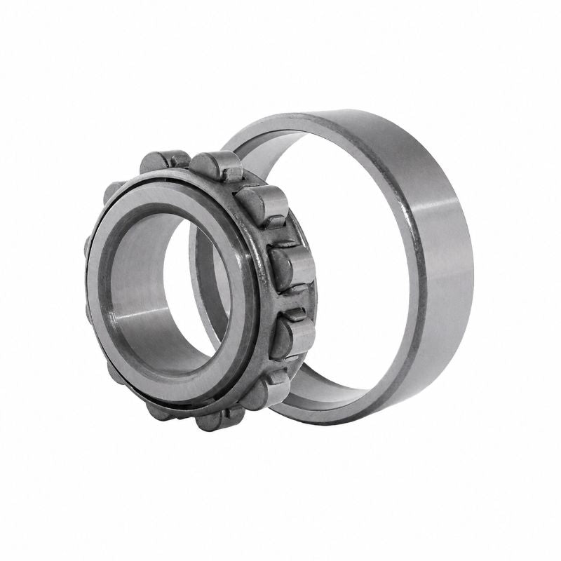 N236-E-M1-C3 X-life Cylindrical Roller Bearing with Cage 180x320x52mm