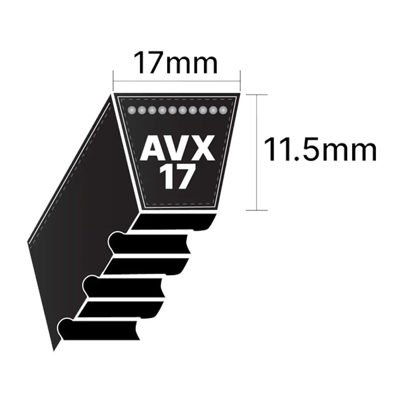 AVX17x1300 Pix AVX-Section Cogged V-Belt