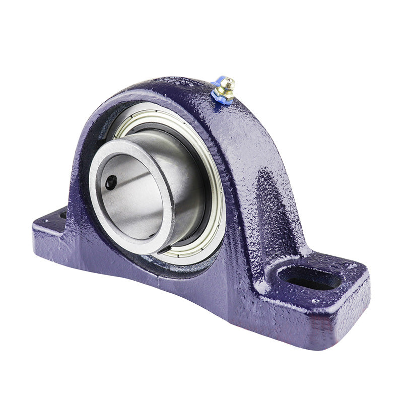 RHP NP55 Two Bolt Cast Iron Pillow Block and 55mm Bore Grub Screw Full Width Insert